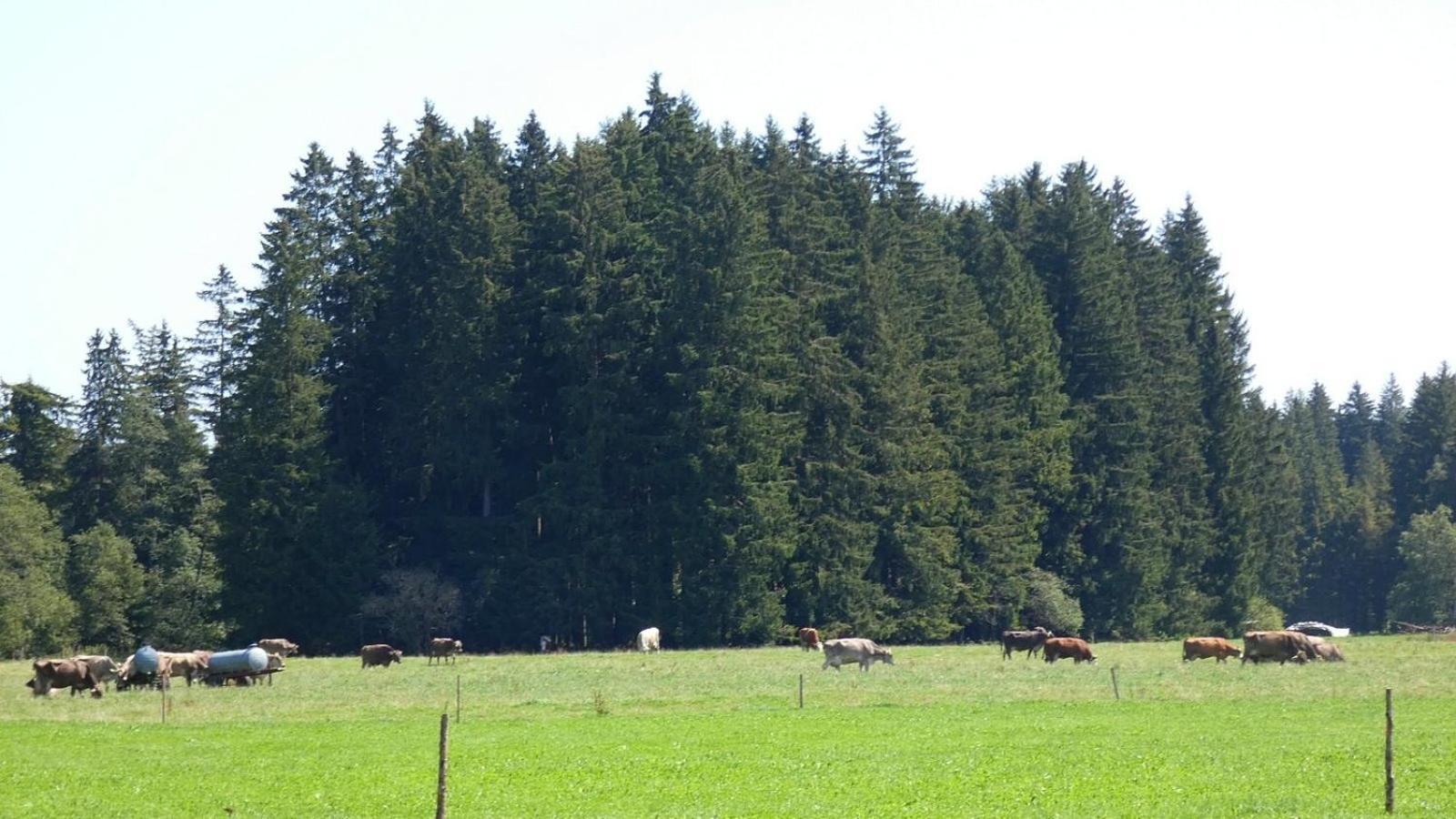 Ferienwohnung Nr 5, Lechbruck-Gruendl, Allgaeu Prem Extérieur photo